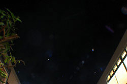 写真をクリックするとライブ写真がご覧になれます。