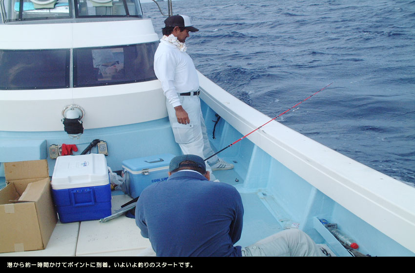 �����̏������摜���N���b�N�ōD���ȉ摜�ɐ؂�ւ��܂��B
��[SlideShow]�N���b�N�Ŏ����X���C�h�V���[�B
�����͎��փ{�^���B
�����͖߂�{�^���B