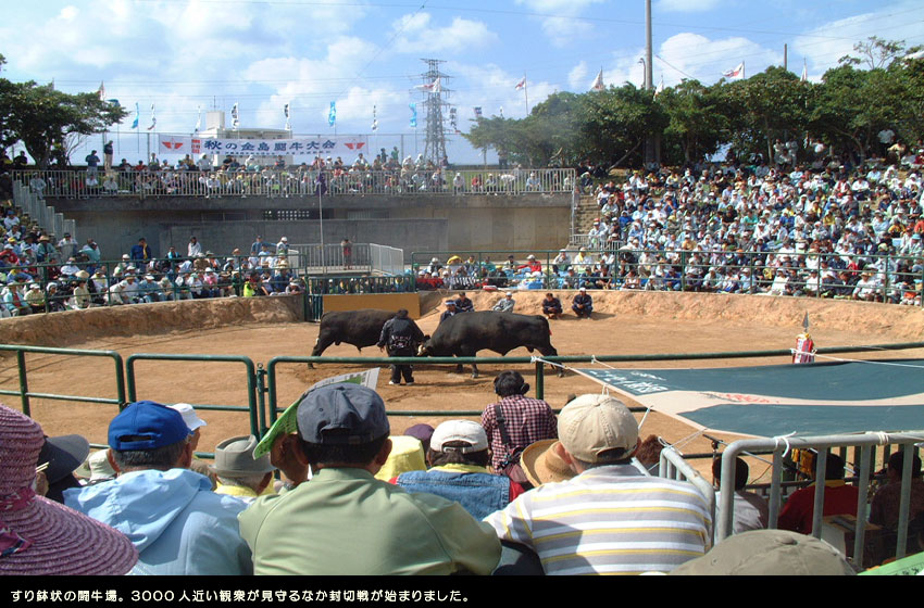 �����̏������摜���N���b�N�ōD���ȉ摜�ɐ؂�ւ��܂��B
��[SlideShow]�N���b�N�Ŏ����X���C�h�V���[�B
�����͎��փ{�^���B
�����͖߂�{�^���B